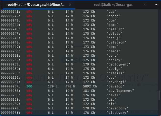 Wfuzz Results